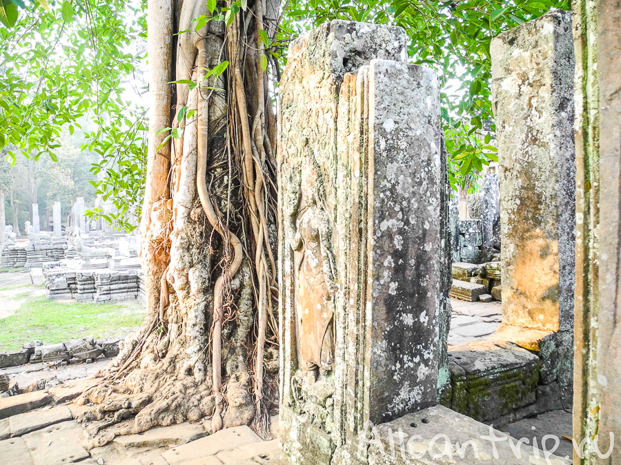 В храме Bayon 