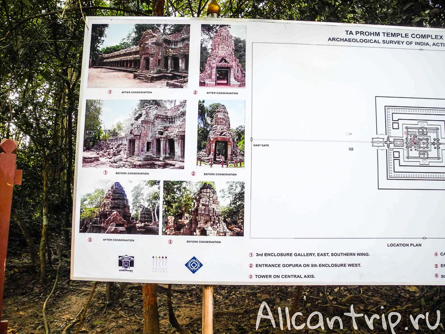 До и после реконструкции храмов Ta Prohm