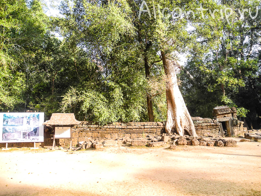 Храм Анджелины Джоли в Камбодже Ta Prohm
