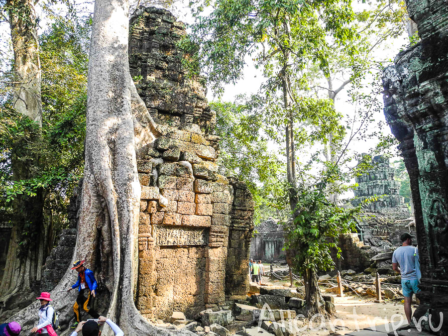 Храм Анджелины Джоли в Камбодже Ta Prohm