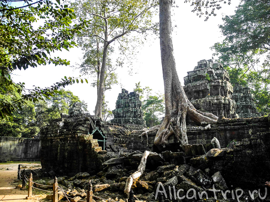 Храм Анджелины Джоли в Камбодже Ta Prohm