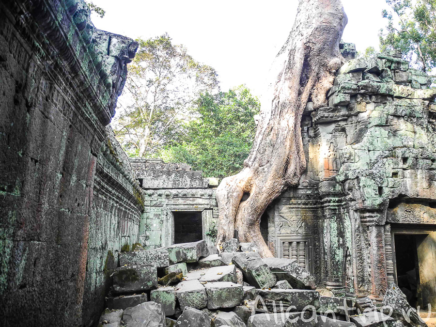 Храм Анджелины Джоли в Камбодже Ta Prohm