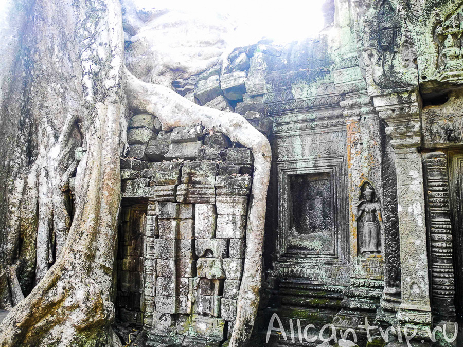 Храм Анджелины Джоли в Камбодже Ta Prohm