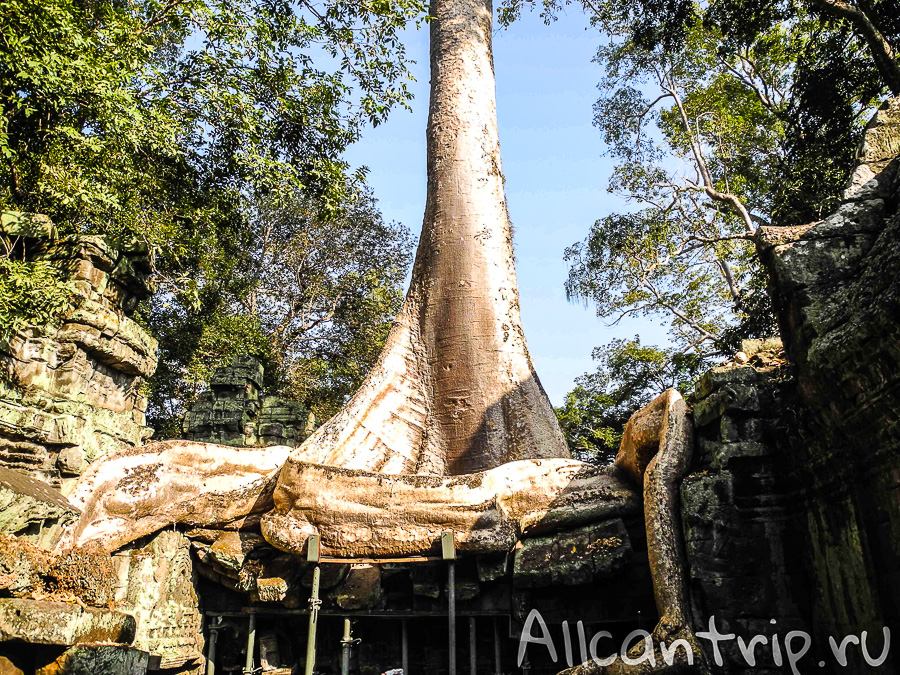 Храм Анджелины Джоли в Камбодже Ta Prohm