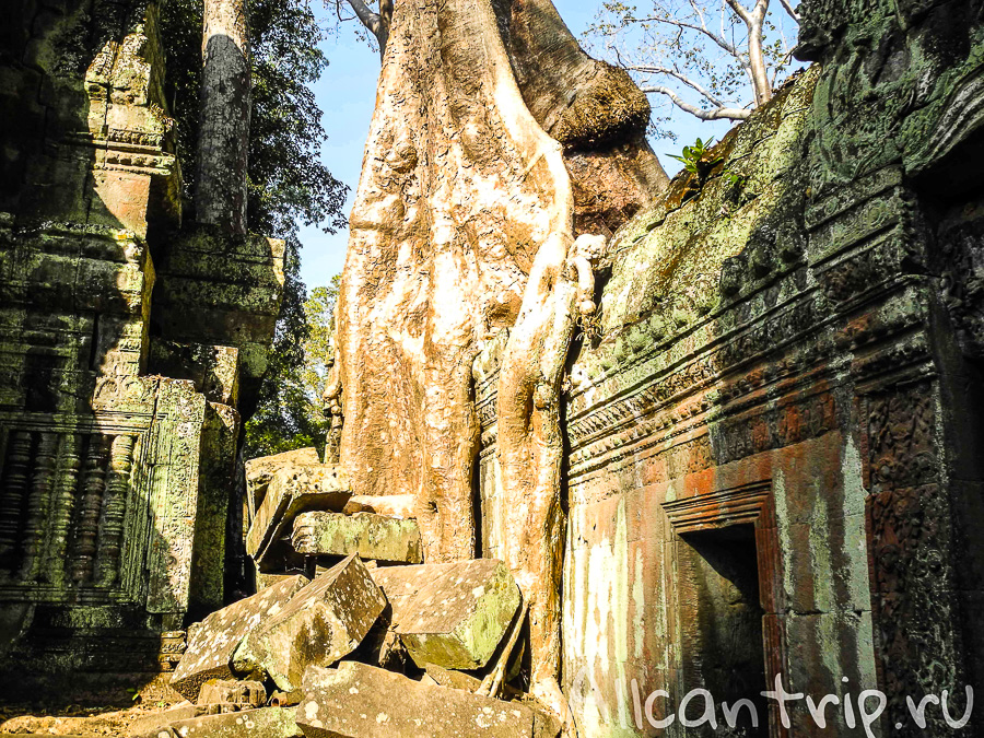 Храм Анджелины Джоли в Камбодже Ta Prohm