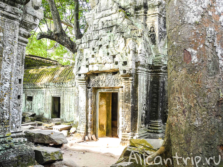 Храм Ta Prohm