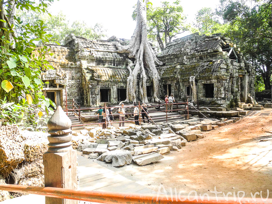 Ta Prohm в Сием Рипе