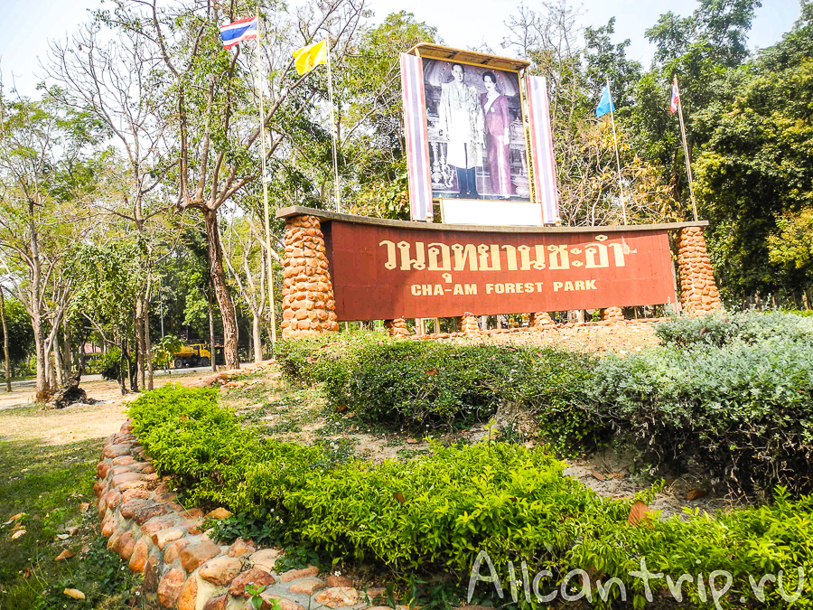 Forest Park в Ча аме
