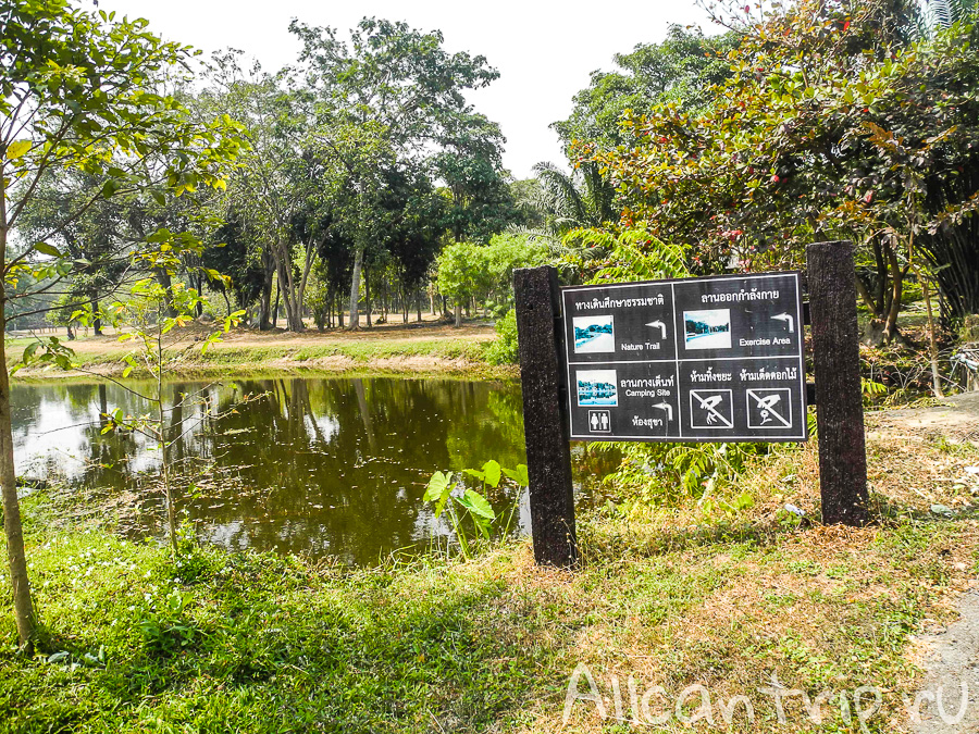 Forest Park в Ча аме