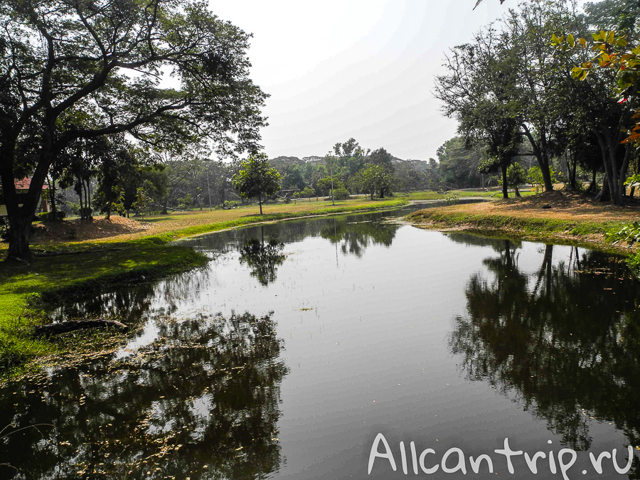 Forest Park в Ча аме