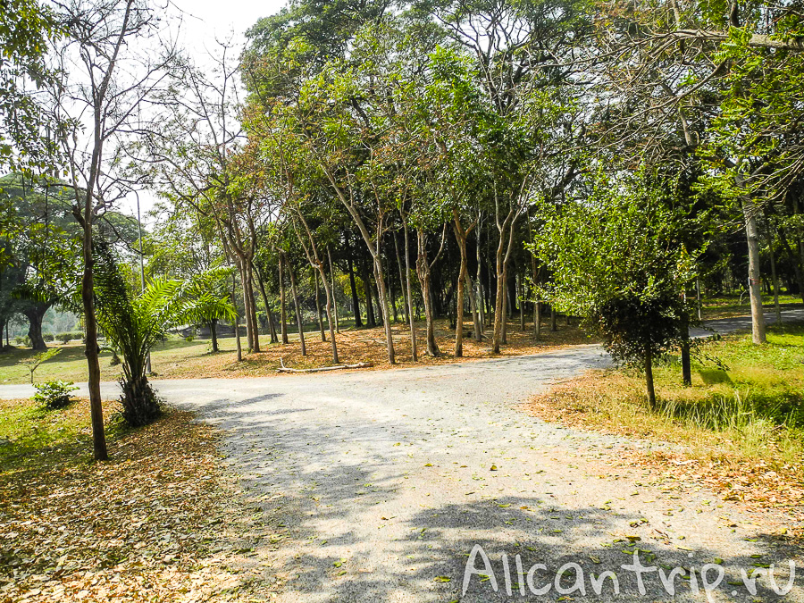 Forest Park в Ча аме