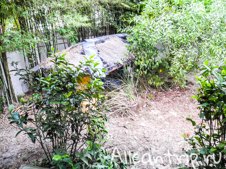 Бюджетный дом на Самуи Чавенг