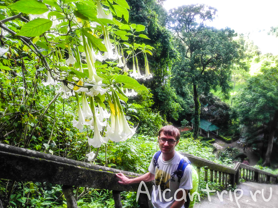 Пещера Tham Chang Cave Ванг Вьенг