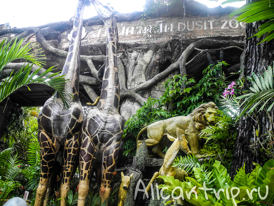 В зоопарке Бангкока Dusit Zoo