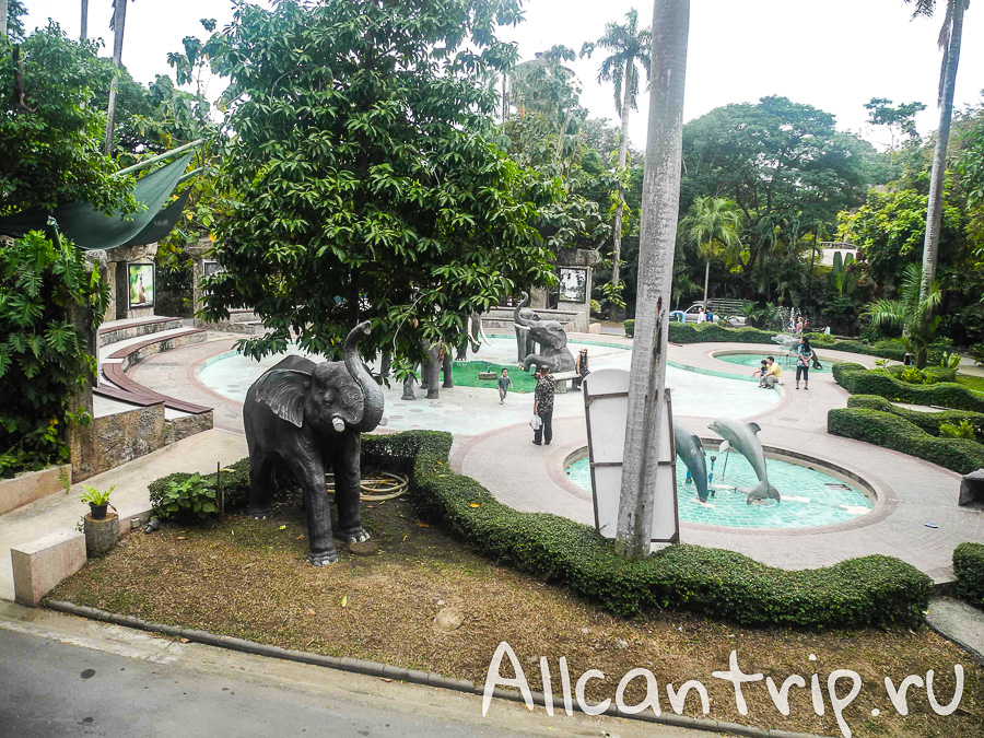 В зоопарке Бангкока Dusit Zoo