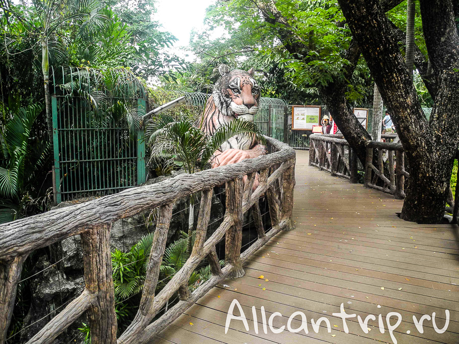 В зоопарке Бангкока Dusit Zoo