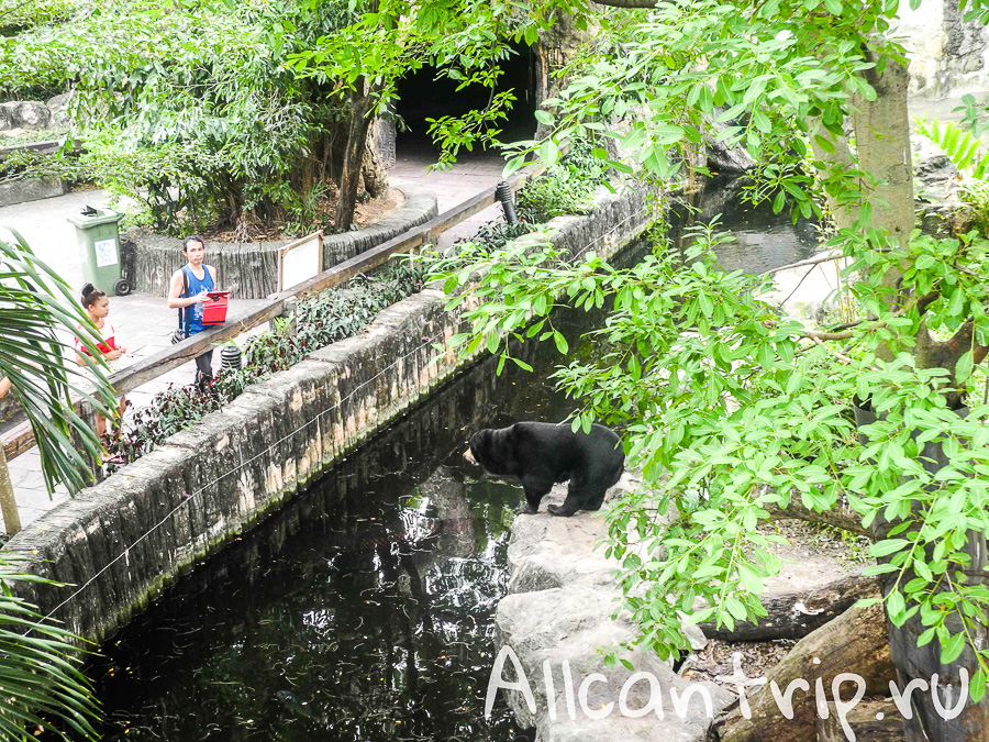 В зоопарке Бангкока Dusit Zoo