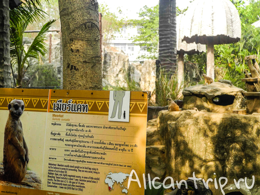 В зоопарке Бангкока Dusit Zoo