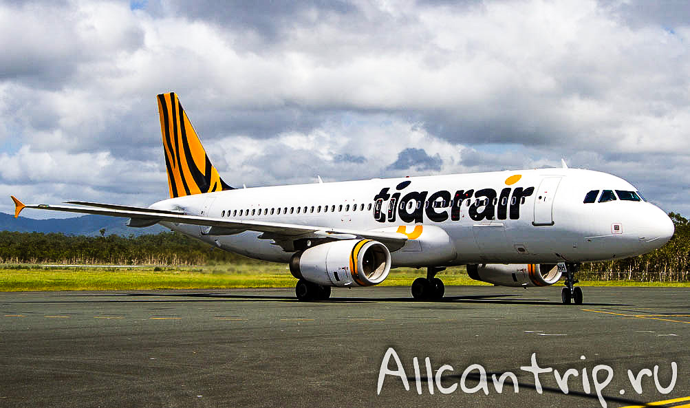 Tiger_fleet2
