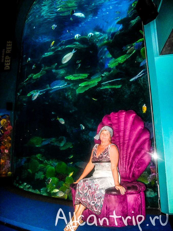 Океанариум Siam Ocean World