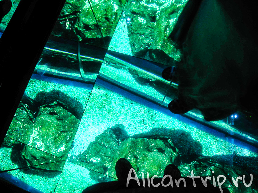 Океанариум Siam Ocean World