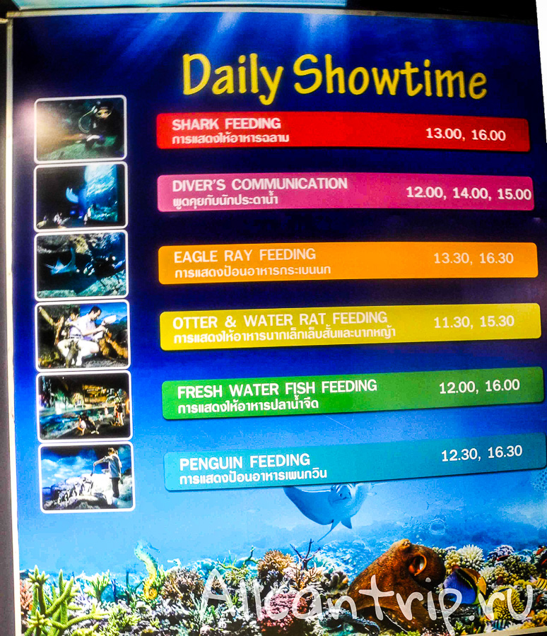 Океанариум Siam Ocean World