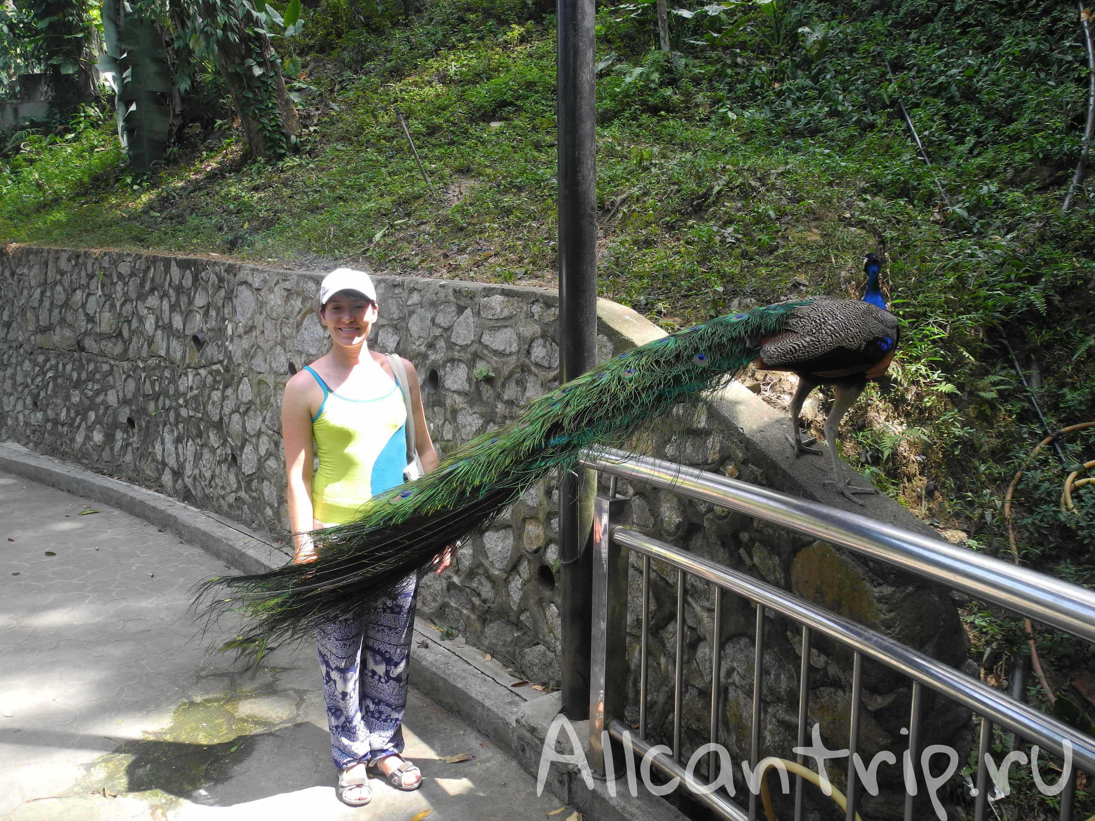 Парк птиц Куала-Лумпур