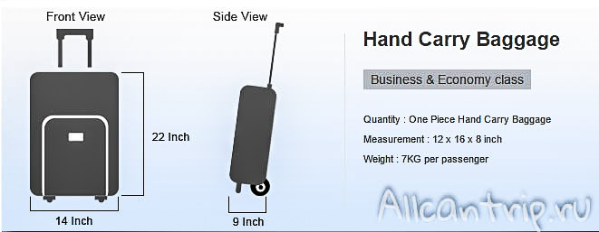 Ручная кладь Malindo Air