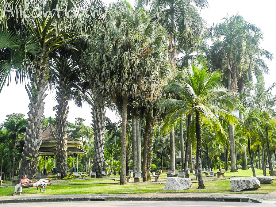 Можно работать на скамейке в парке