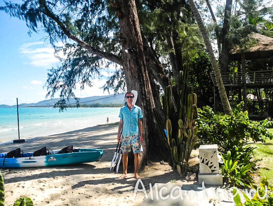 Пальмы на пляже Lipa Noi Samui