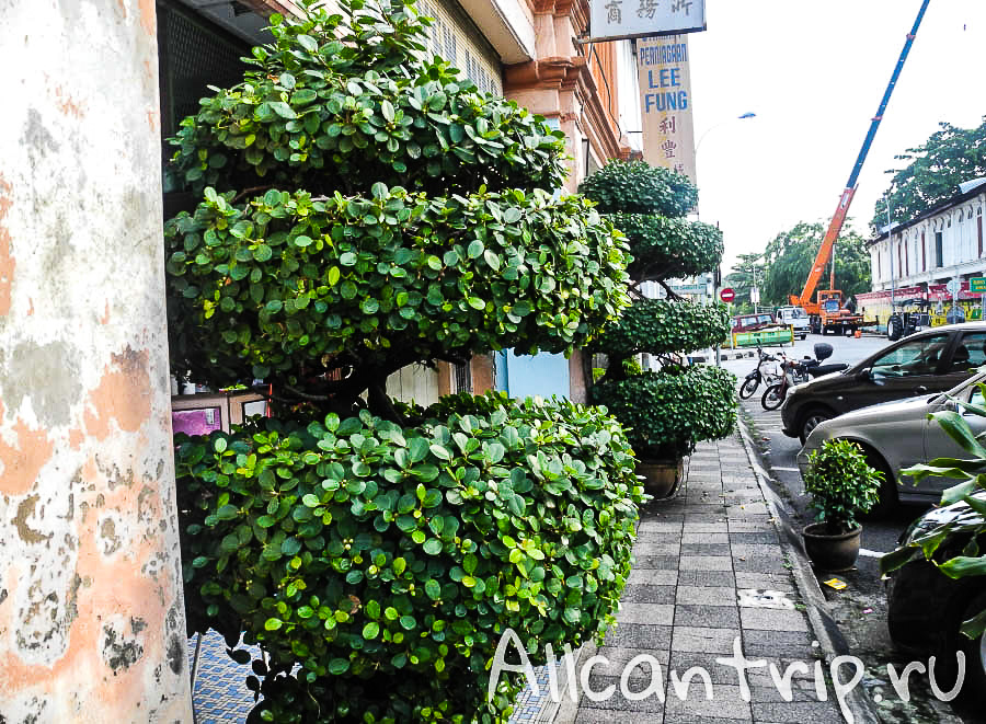 на улице малайского города Ипох