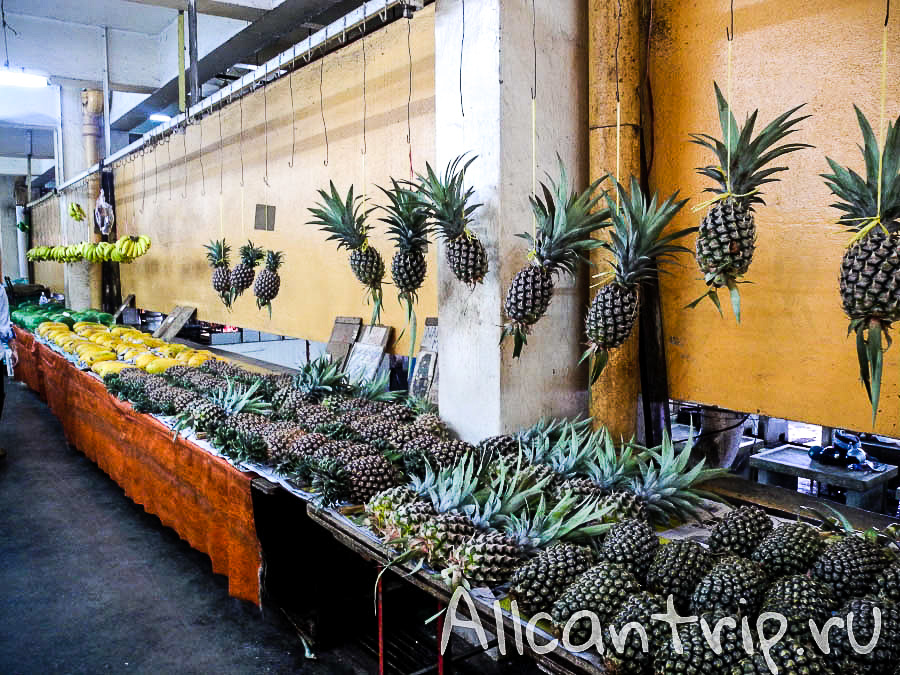 ананасы в Малайзии