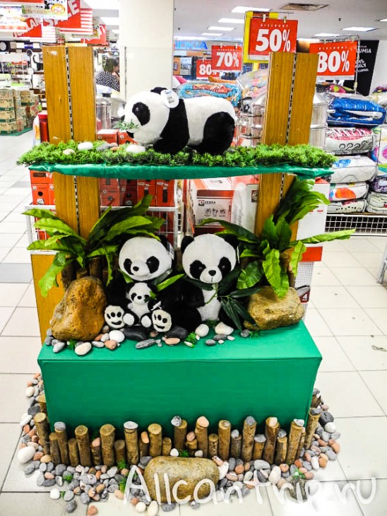 в магазине Ипох