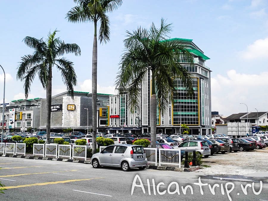 пальмы на улице в городе Ипох Малайзия