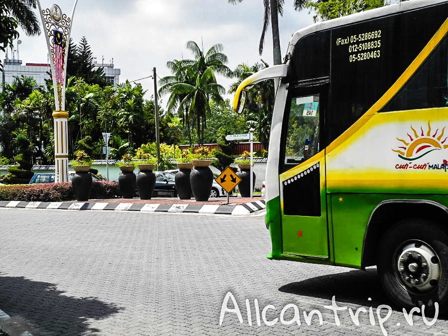 пальмы в городе Ипох Малайзия