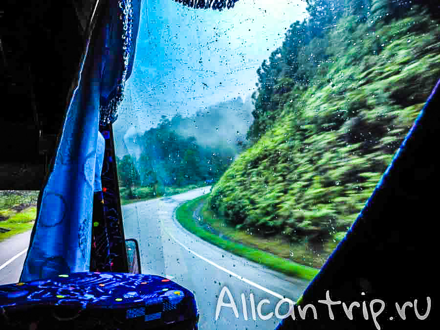 Дорога до cameron highlands