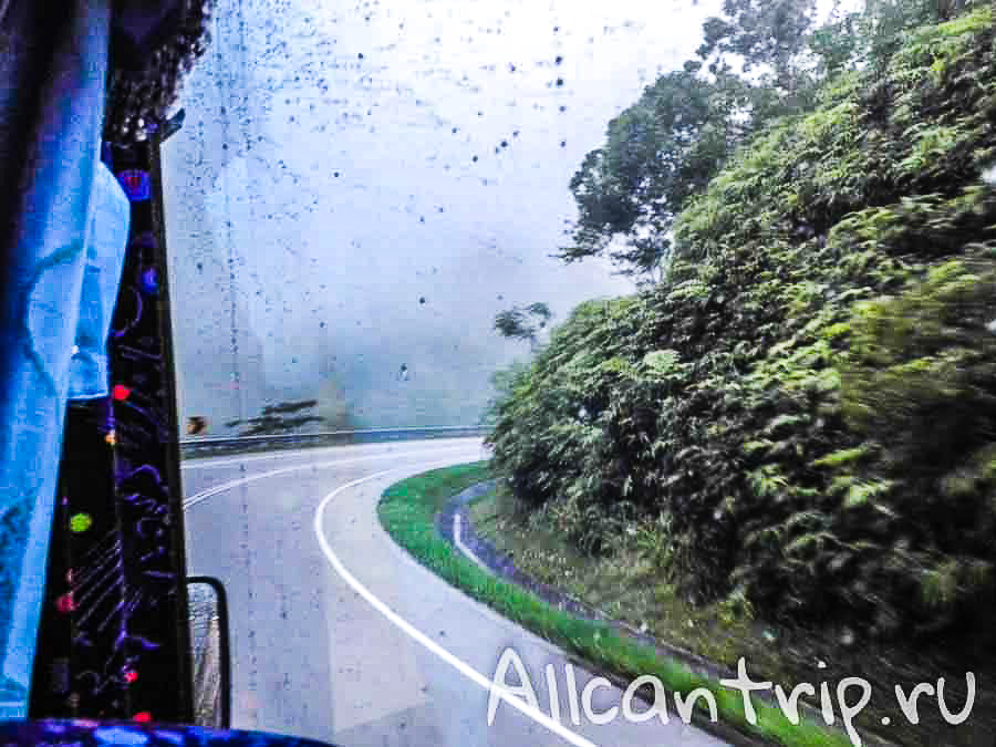  cameron highlands