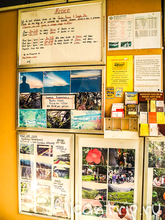 Где остановиться в Cameron highlands