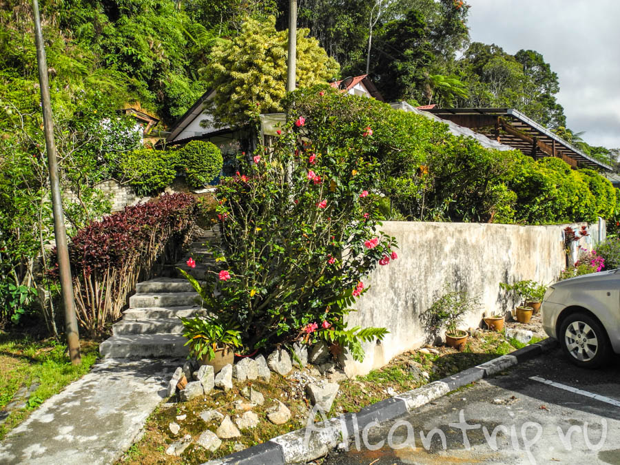 Cameron Highlands