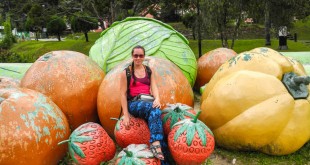 Гигантские овощи в Кэмерон Хайлендс