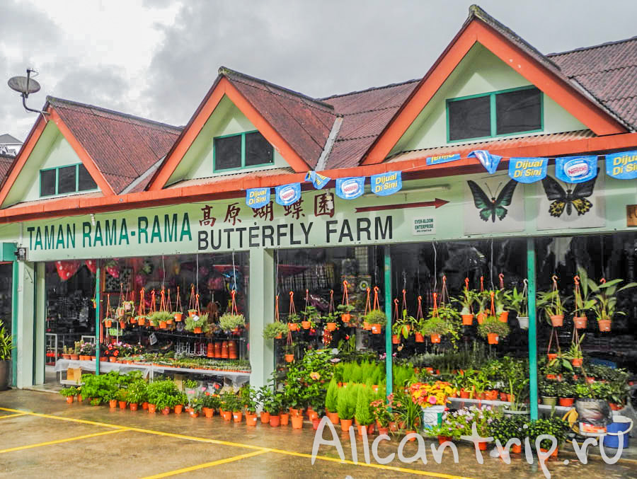 Butterfly farm в Тана Рате