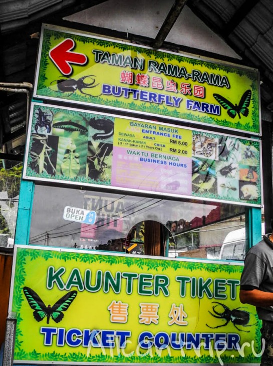 Butterfly farm в Тана Рате