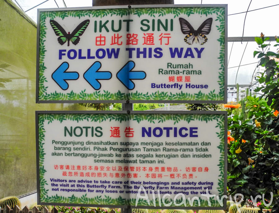 Butterfly farm в Малайзии
