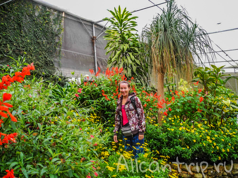 На ферме бабочек Cameron Highlands