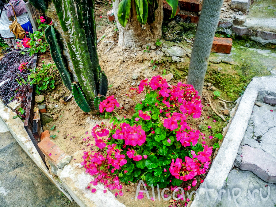 Ферма бабочек Малайзия