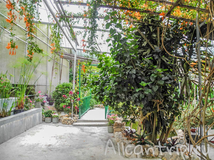 Тропическая ферма в Тана Рате, Малайзия