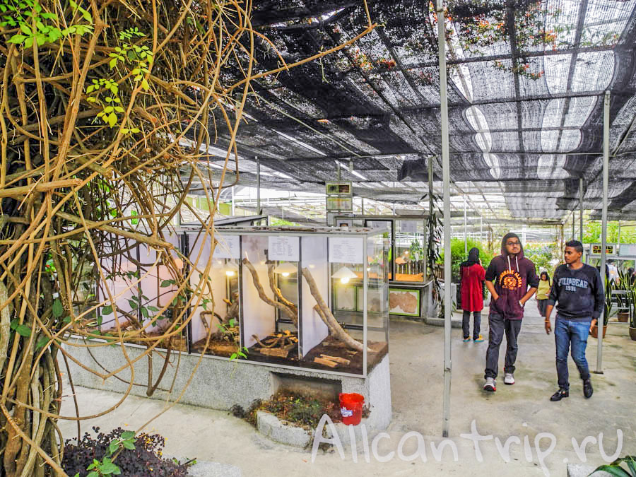 Тропическая ферма в Тана Рате, Малайзия