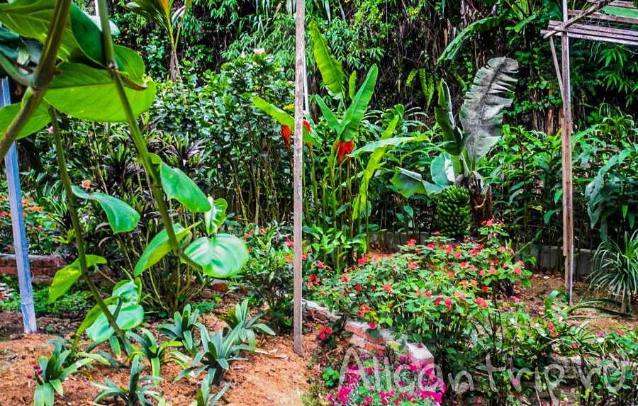 Тропическая ферма в Тана Рате, Малайзия