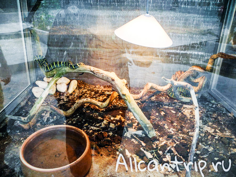 Тропическая ферма в Тана Рате, Малайзия