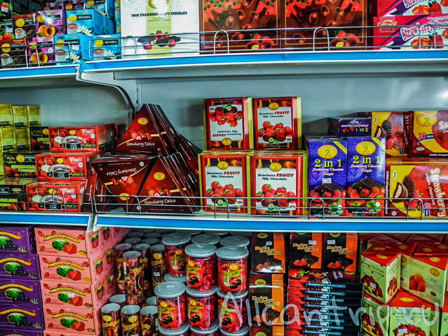 Ферма бабочек в Малайзии